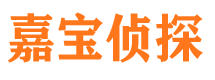 西城市私家侦探